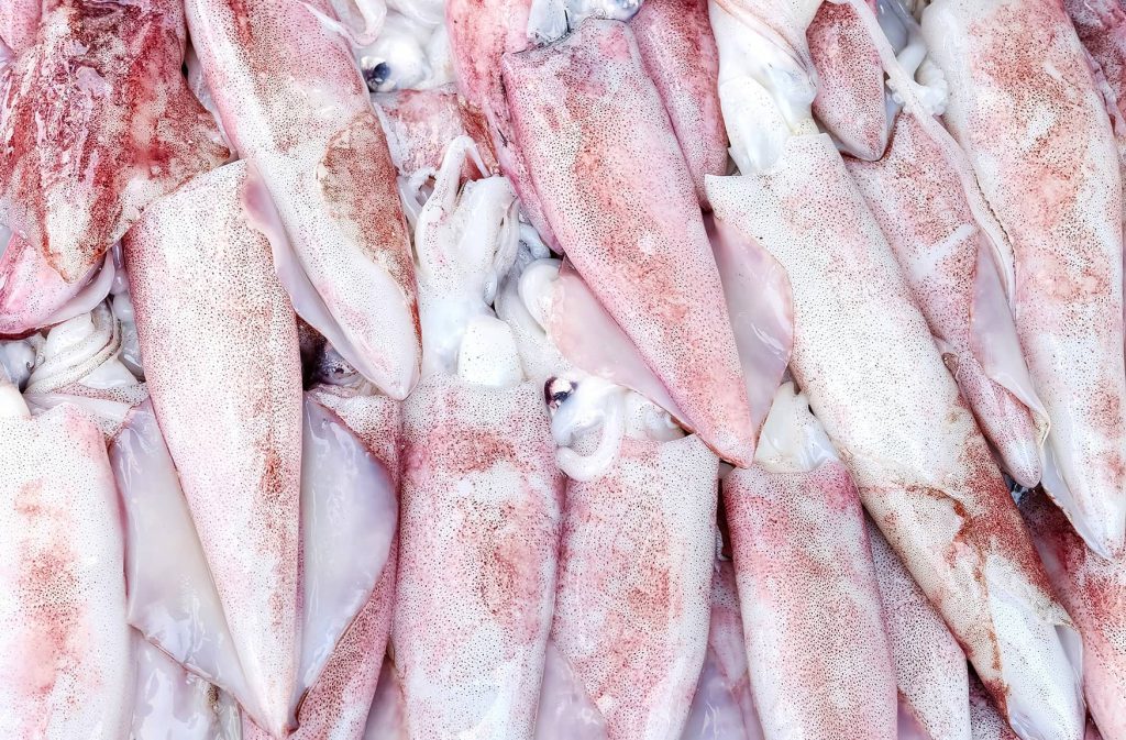 Hydrolysed marine protein in canine - PETFOOD MEDIA